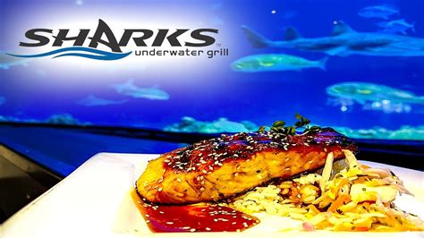 Exhilarating dining experience: Sharks and fine food at the underwater grill